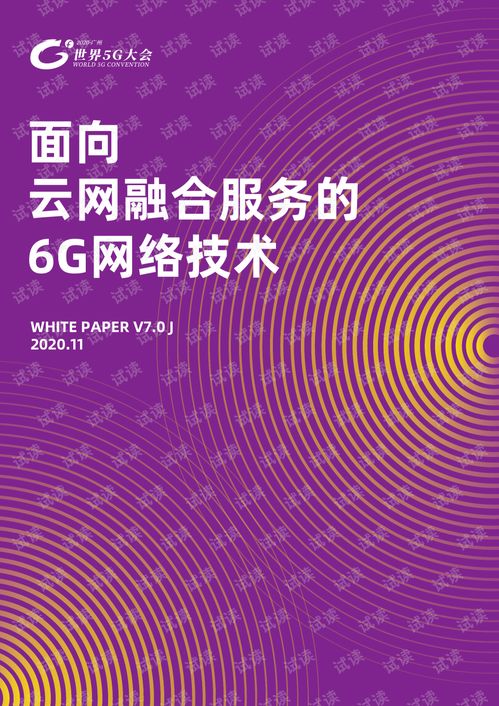 面向云网融合服务的6G网络安全咨询服务